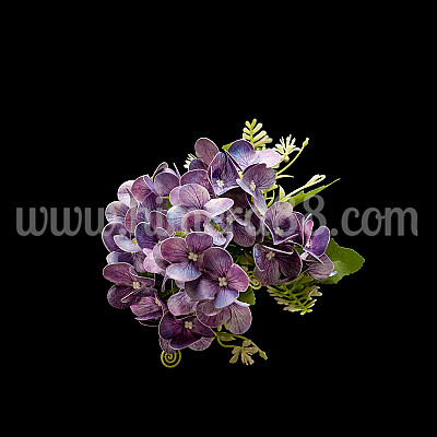Букет хортензия JEWEL DARK PURPLE