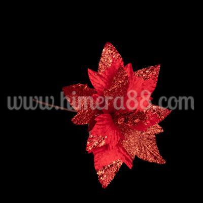 Стрък Коледна звезда Red Brocade 20cm