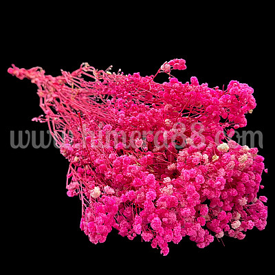 Букет сух гипсофил 120гр Cyclamen