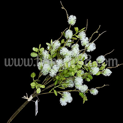 Букет клони Fothergilla Major