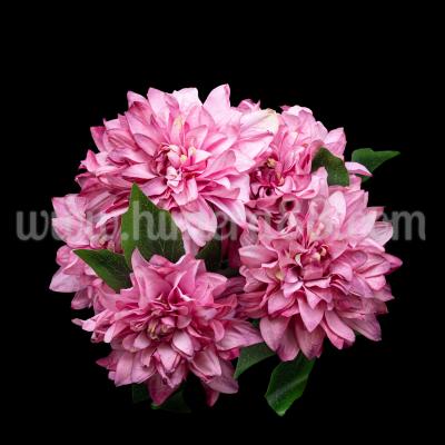 Букет Далия Артър Хамбли Cyclamen