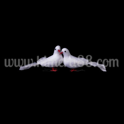 Бели гълъби 2БР/10СМ/18СМ