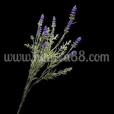 Букет калуна Purple