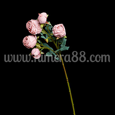 Роза стрък VINTAGE ANTIQUE PINK