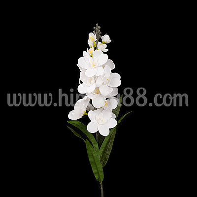 Стрък гладиола WHITE