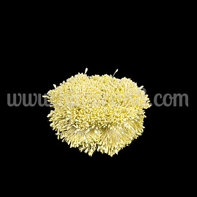 Тичинки на конец Light Yellow Pastel 3300бр