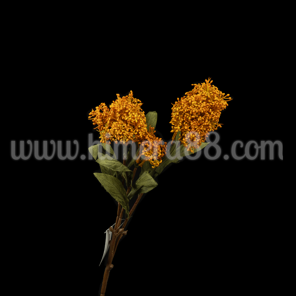 Клон цъфтеж Skimmia Rubell - Orange - изглед 2
