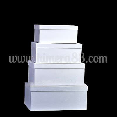 Комплект правоъгълни кутии 32-46см/4бр White