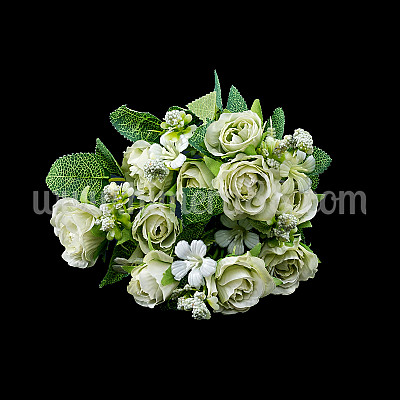 Бенгалска роза 4.5см/5стр WED GREEN