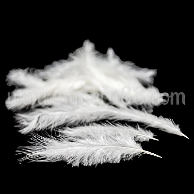 Декоративни пера 10-15см 30БР White
