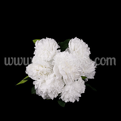 Букет божури Лунна река White