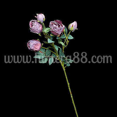 Роза стрък VINTAGE ASH PURPLE