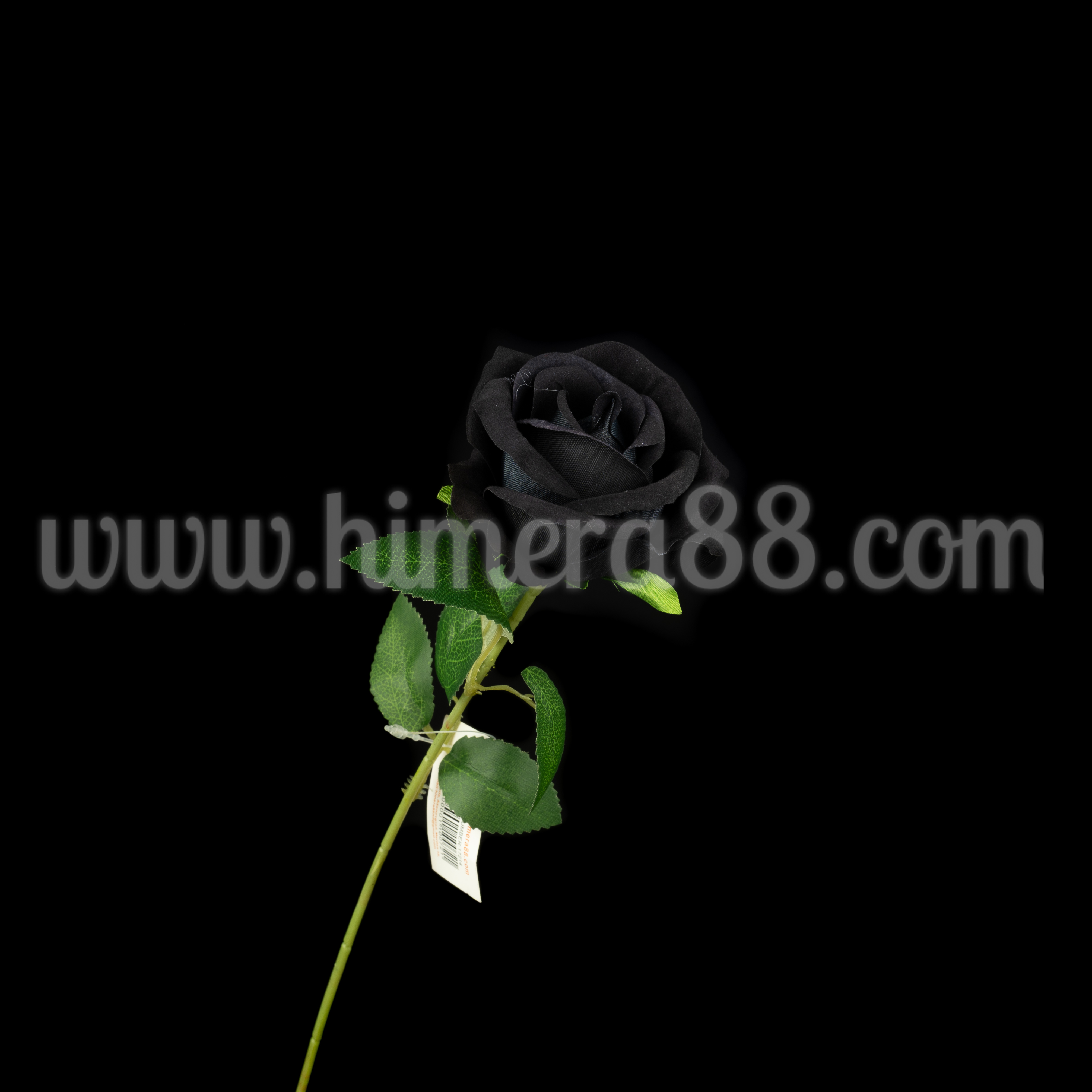 Роза стрък 6.5см Black Velvet - изглед 1