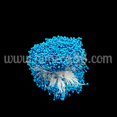 Тичинки на конец 100гр TURQUOISE