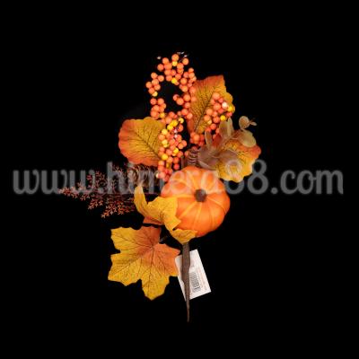 Есен клон Oak Leaves 30cm