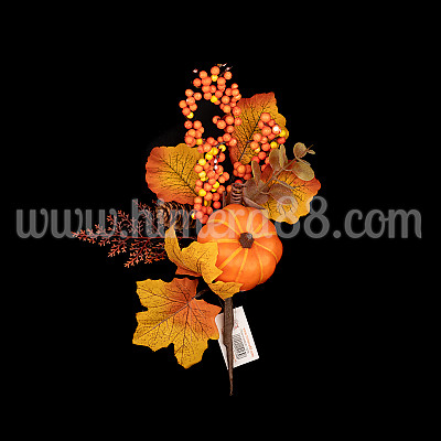 Есен клон Oak Leaves 30cm