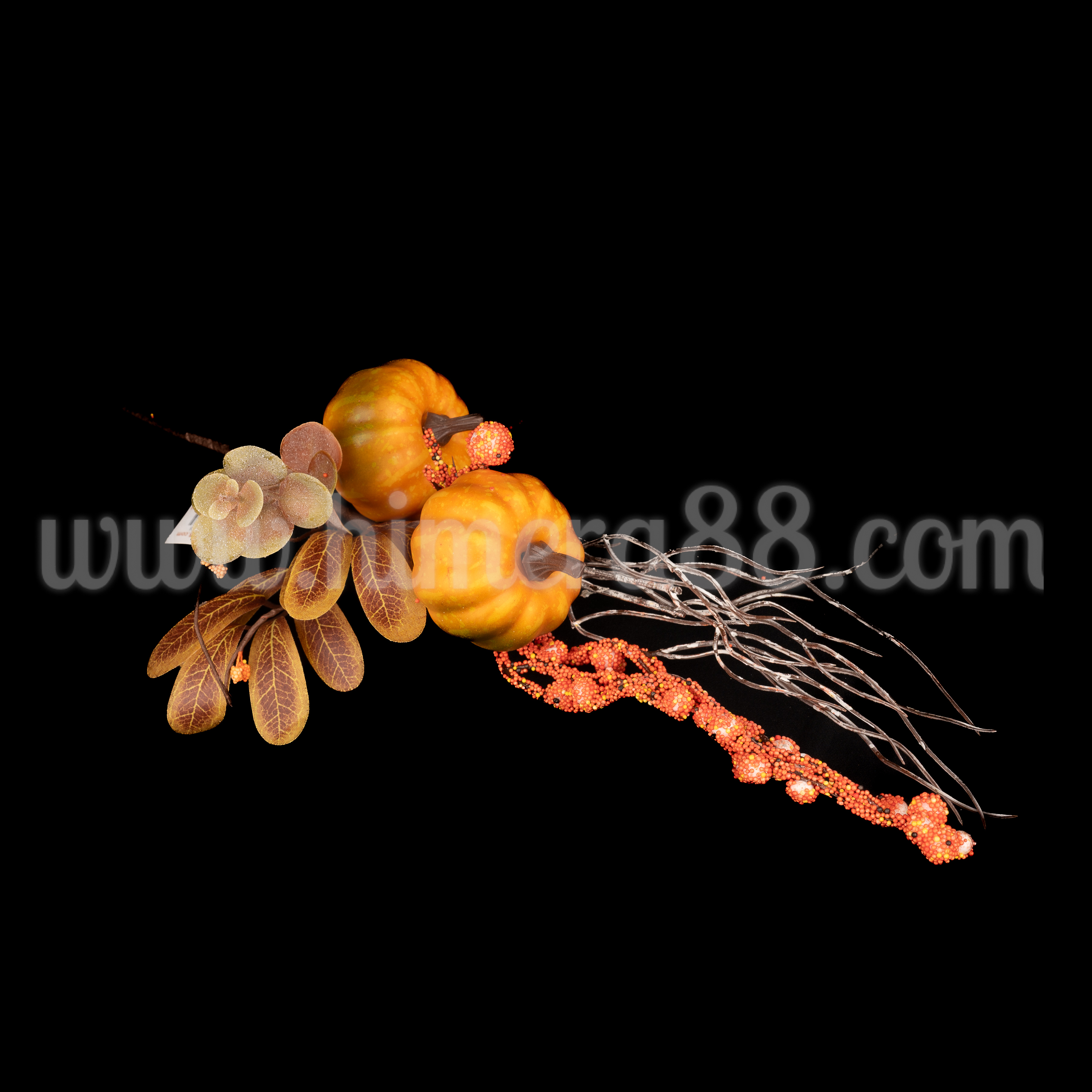 Есенен клон Eucalyptуc Populus 44cm - изглед 2