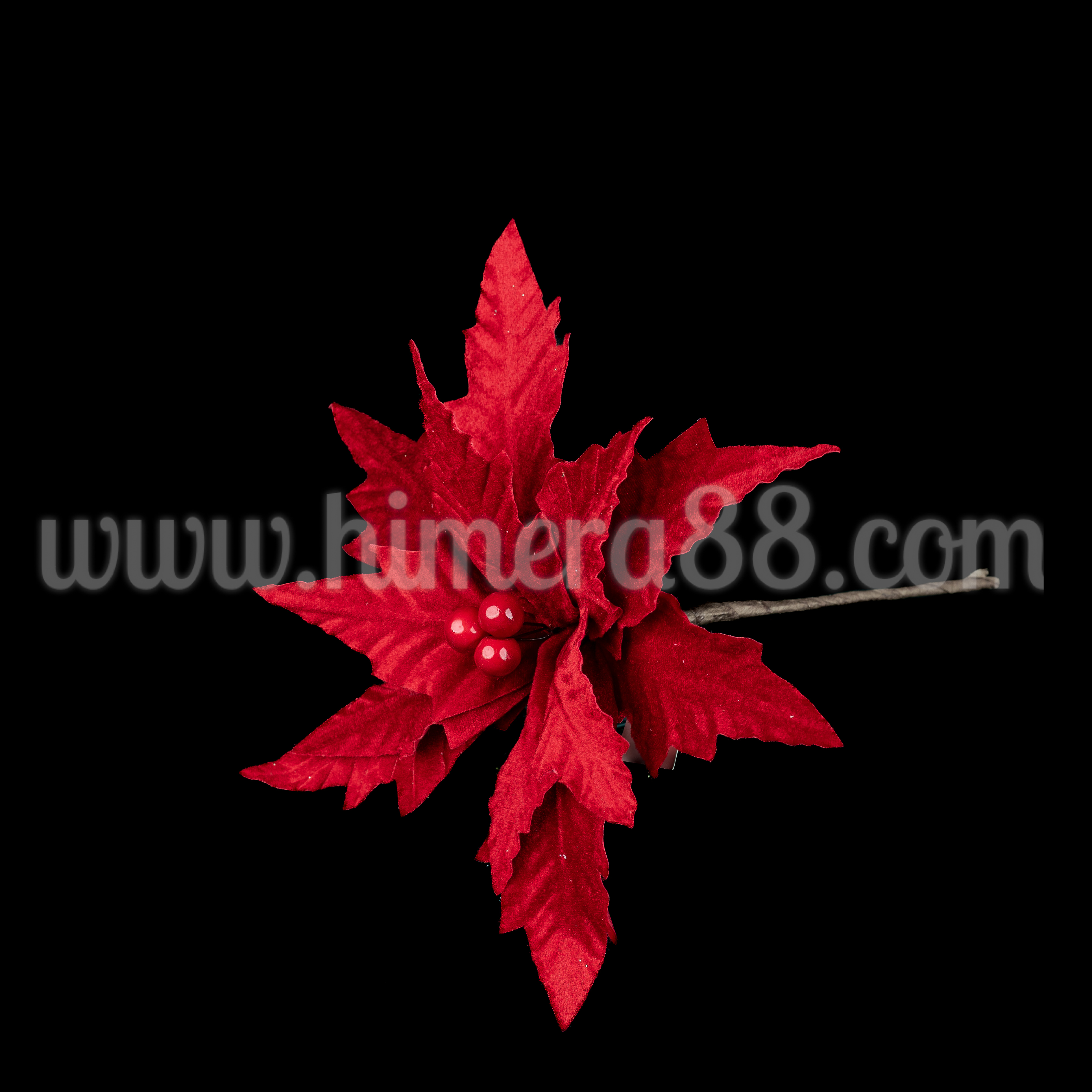 Стрък Коледна Звезда Red Velvet 25cm - изглед 2