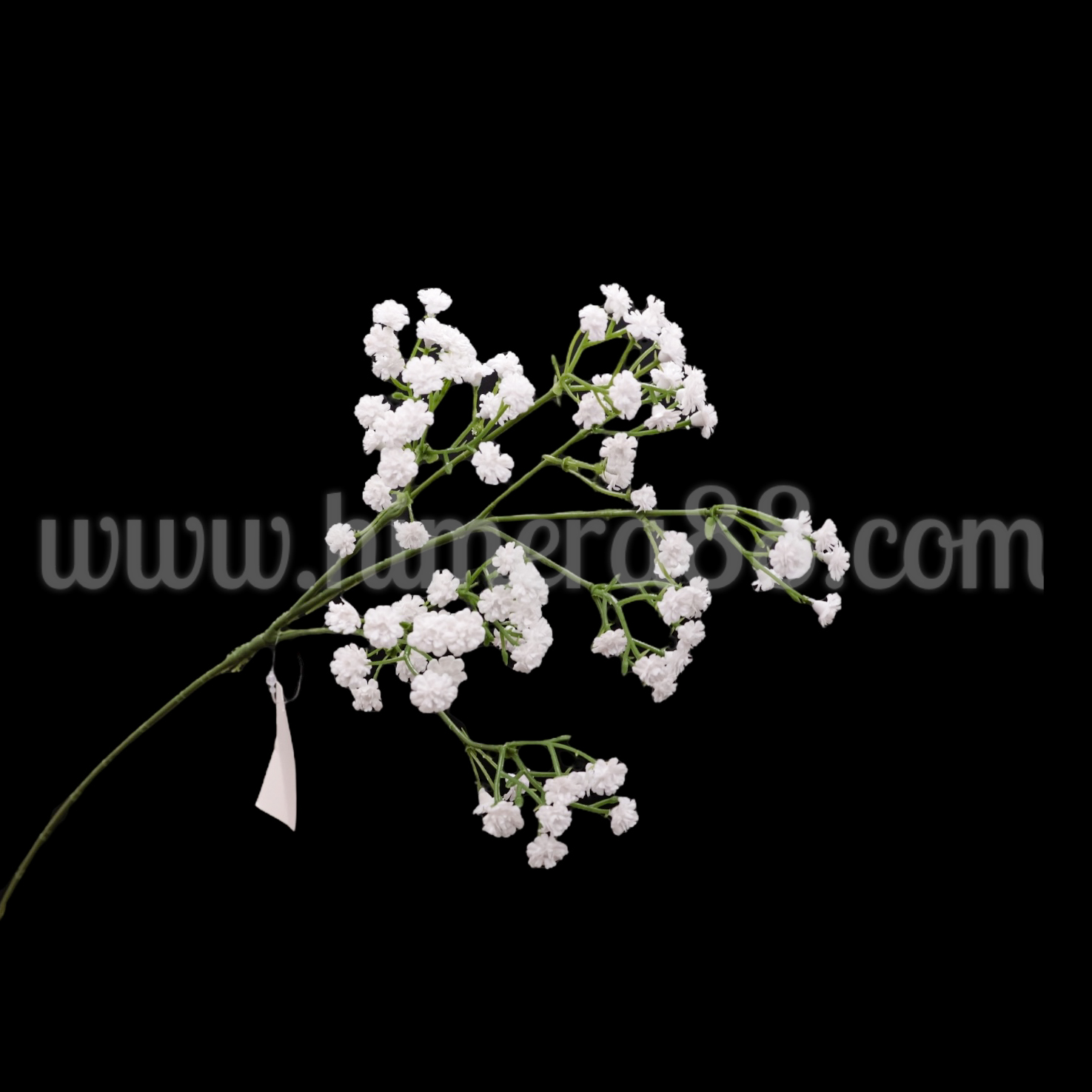 Стрък гипсофил White - изглед 2