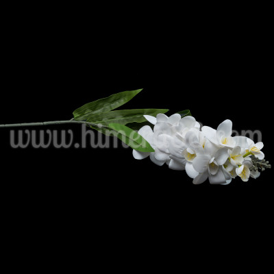 Стрък гладиола WHITE
