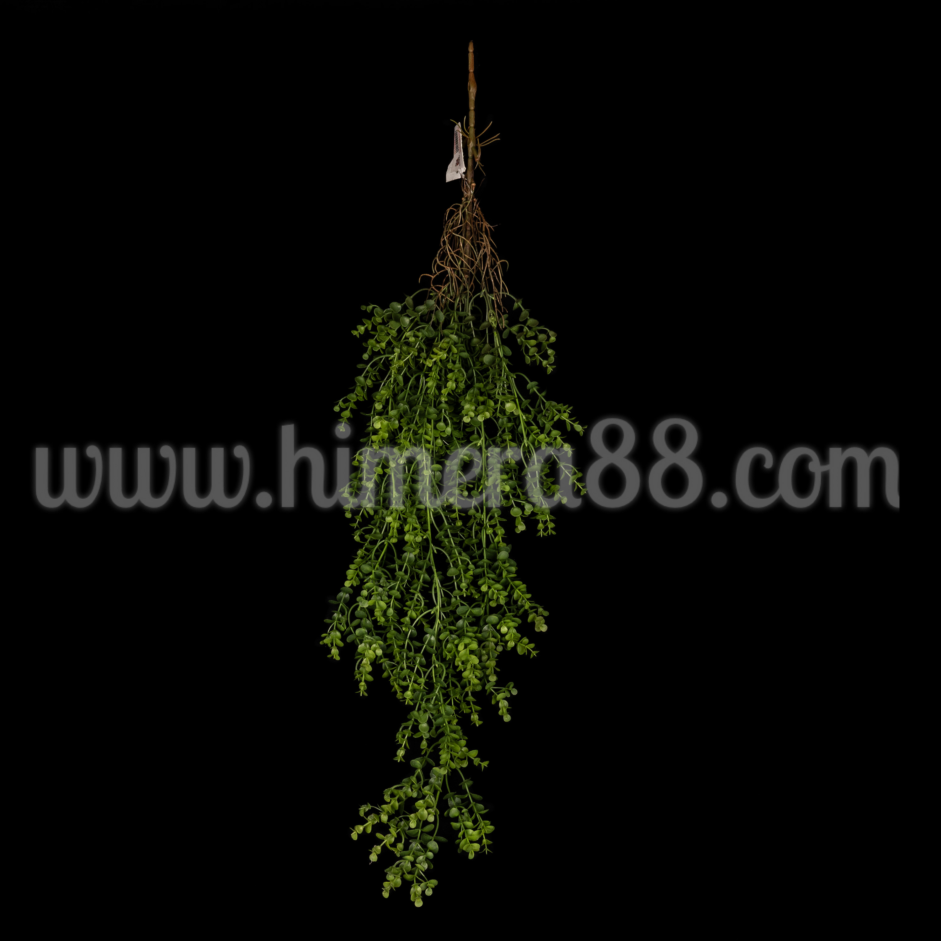 Висяща зеленина Baby Eucalyptus 96 см - изглед 1