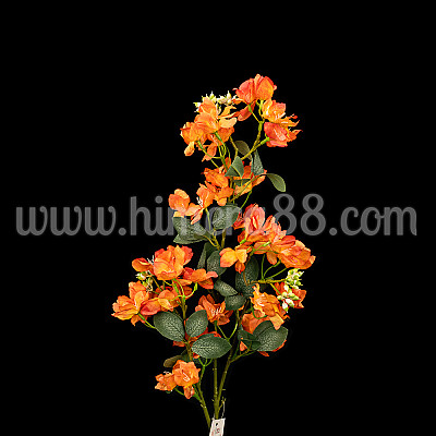 Клон цвят Рододендрон 90cm Orange