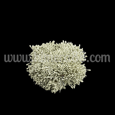 Тичинки на конец Green Pastel