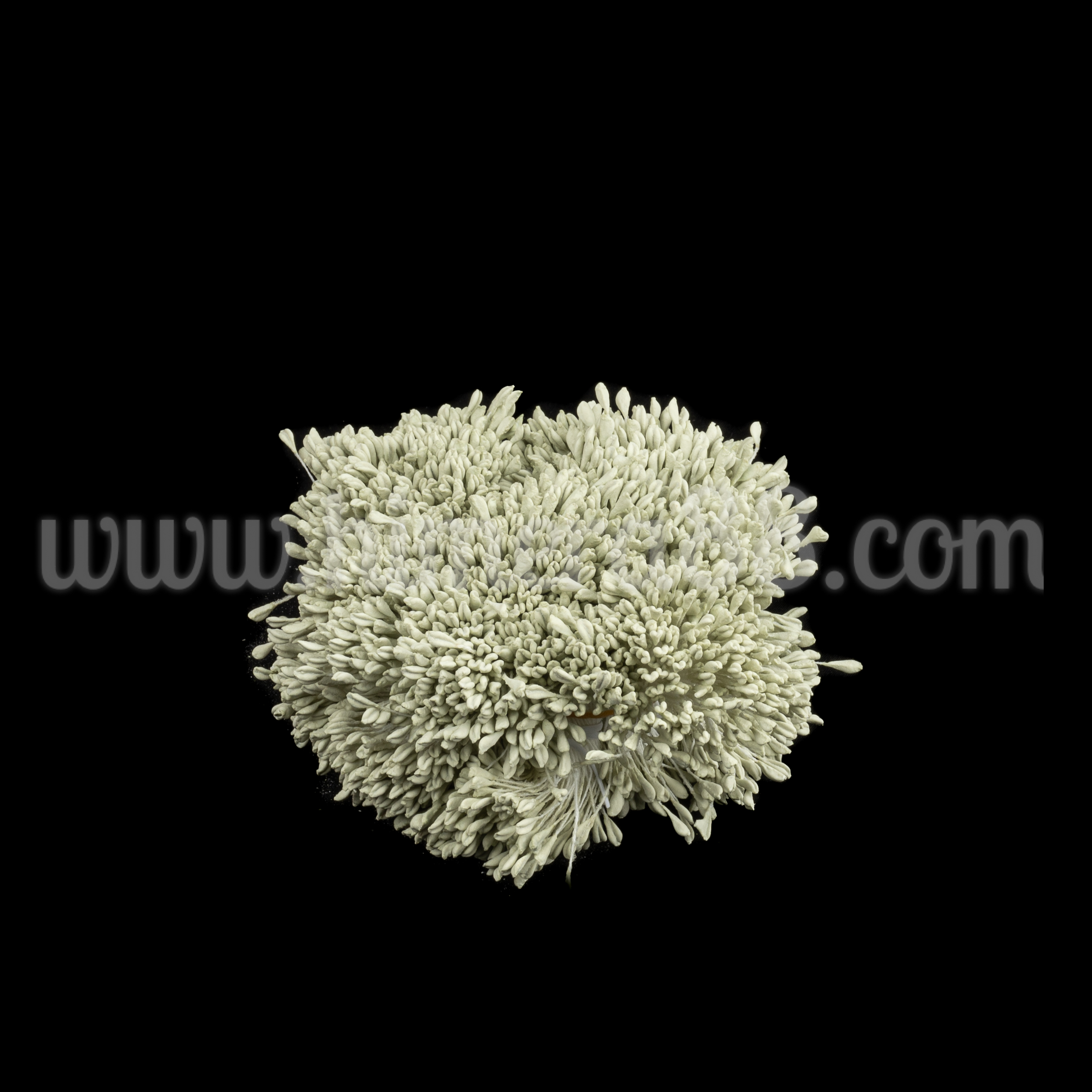 Тичинки на конец Green Pastel - изглед 1