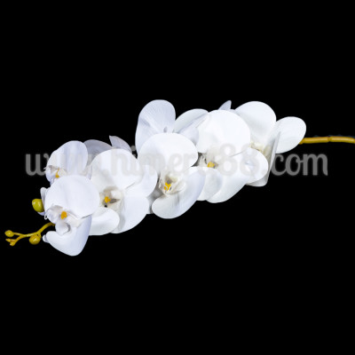 Стрък орхидея WHITE