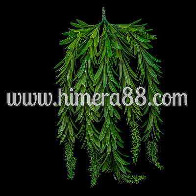 Висяща зеленина 5стр/53см HI-140 GREEN