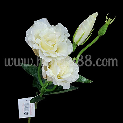 Стрък еустома WHITE