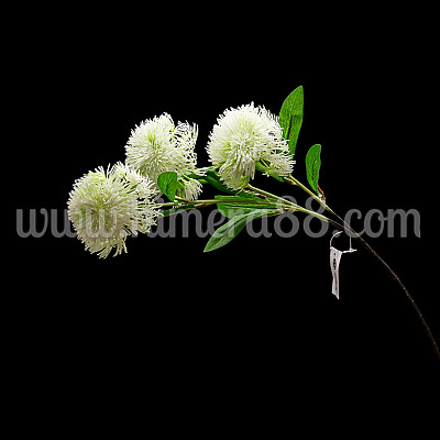 Стрък алиум 3бр WHITE