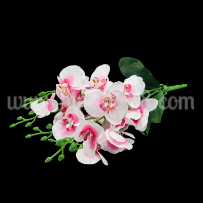 Букет орхидея PINK