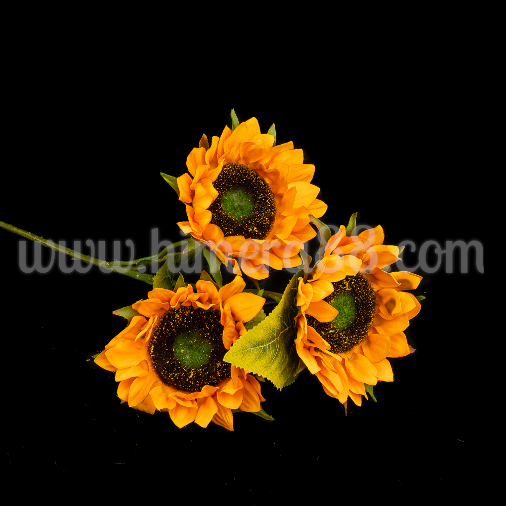 Стрък Слънчоглед Sunrich Orange 12cm - изглед 1