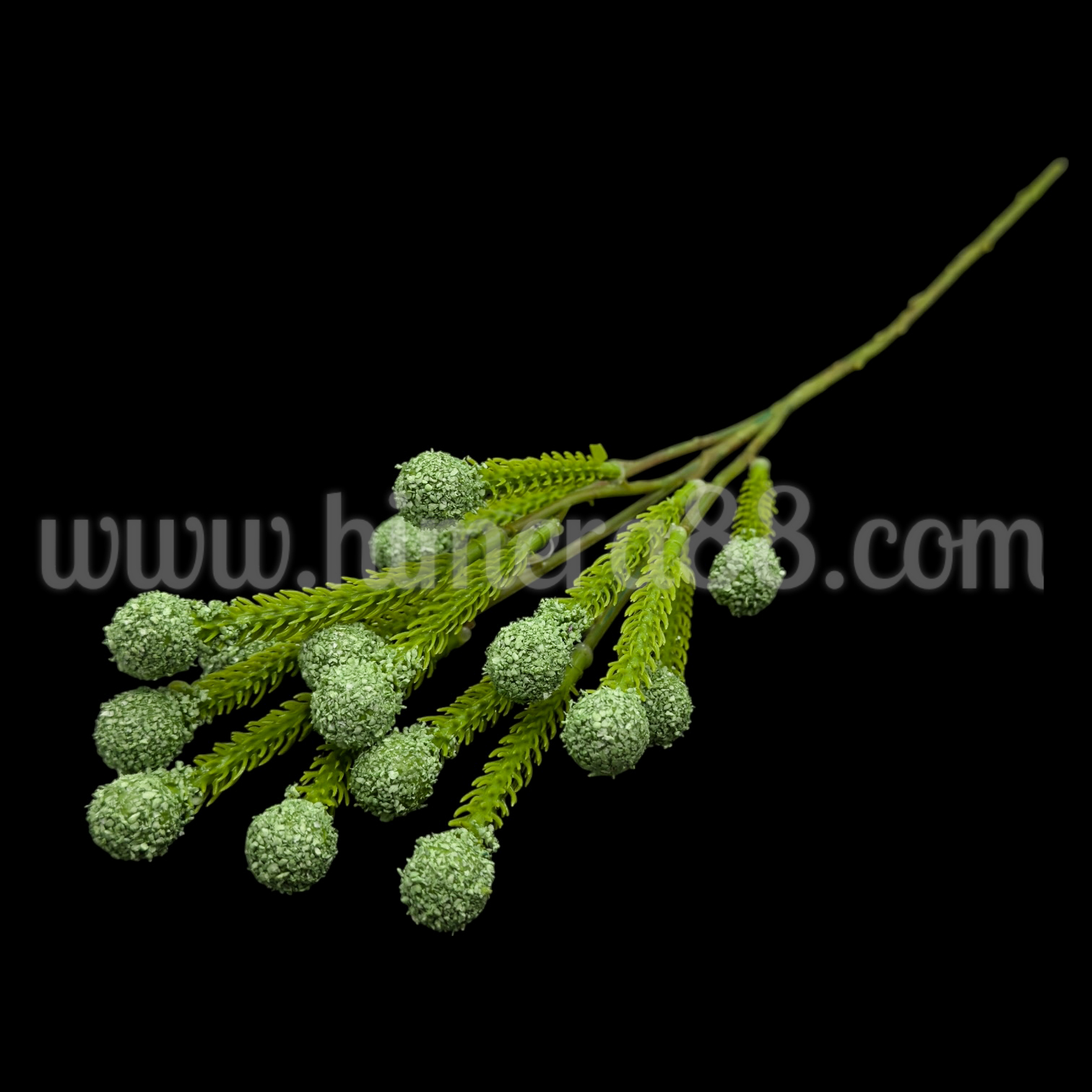 Клон едра бруния Green - изглед 2