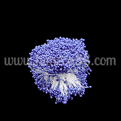 Тичинки на конец 100гр VIOLET