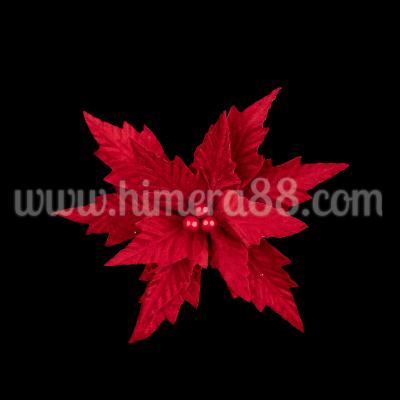 Стрък Коледна Звезда Red Velvet 25cm