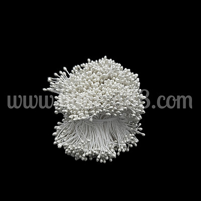 Тичинки на конец 100гр WHITE