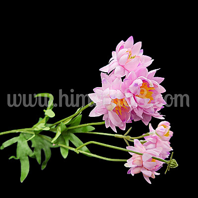 Стрък кукуряк 4БР PINK