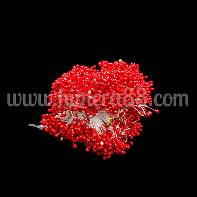 Тичинки на конец 100гр RED