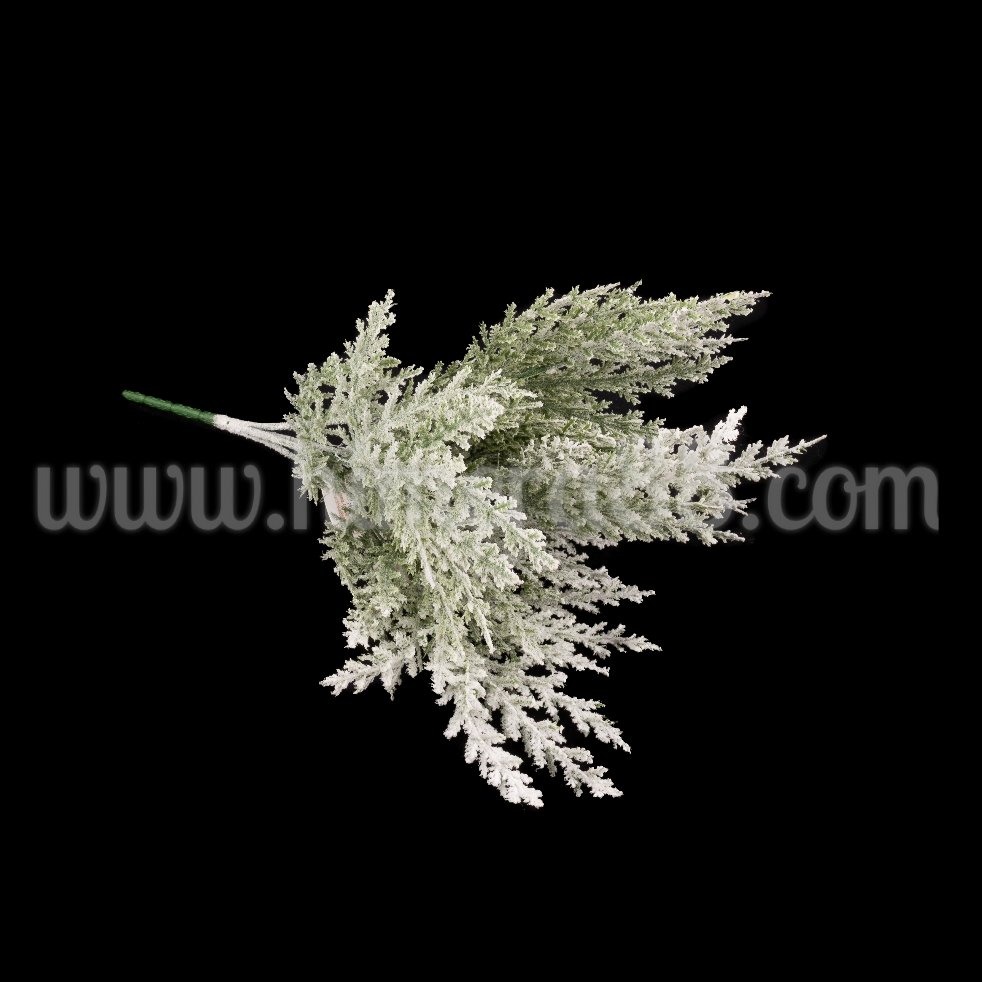 Заснежен Смарагд Dark Green - изглед 2