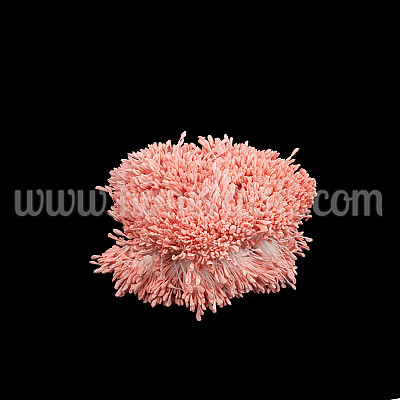 Тичинки на конец Pink Peach Pastel 3300бр