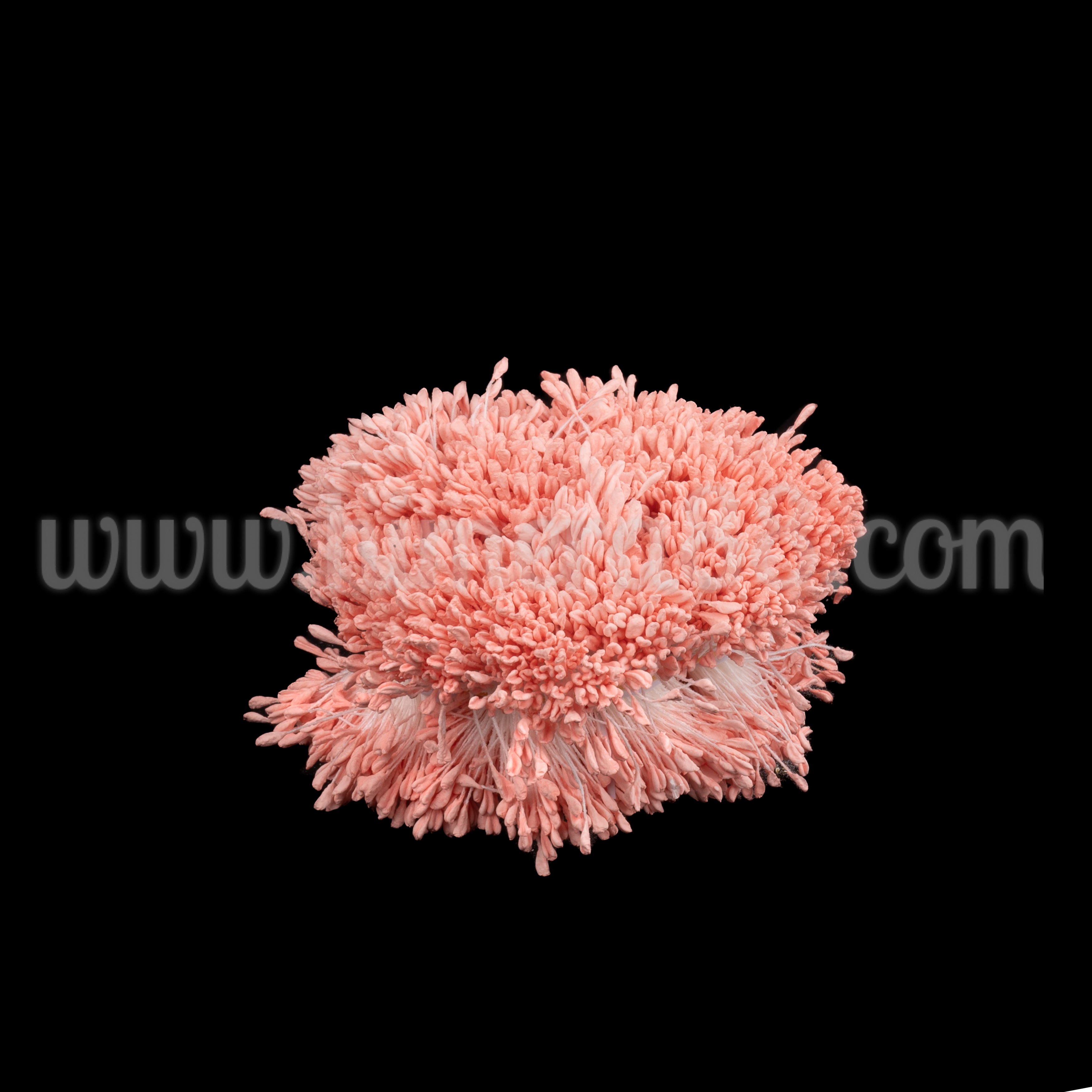 Тичинки на конец Pink Peach Pastel 3300бр - изглед 1