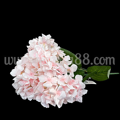Хортензия Elegant SOFT PINK