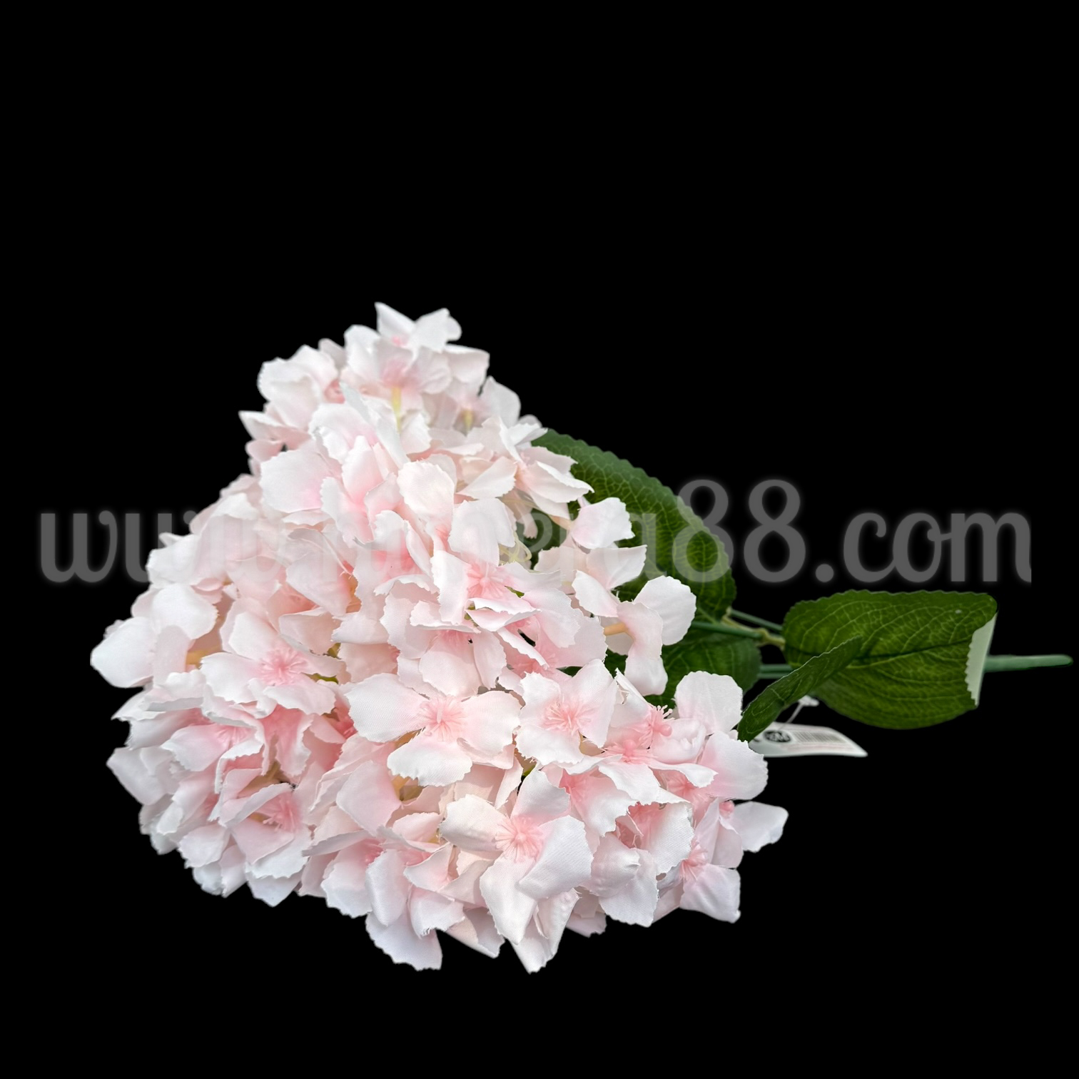 Хортензия Elegant SOFT PINK - изглед 1
