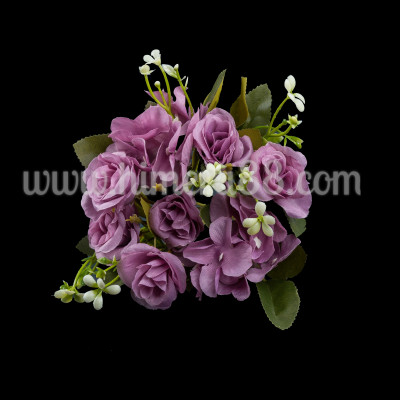 Бенгалска роза 4.5см/6БР PURRPLE