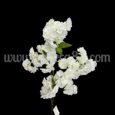 Клон Кичеста Спирея White