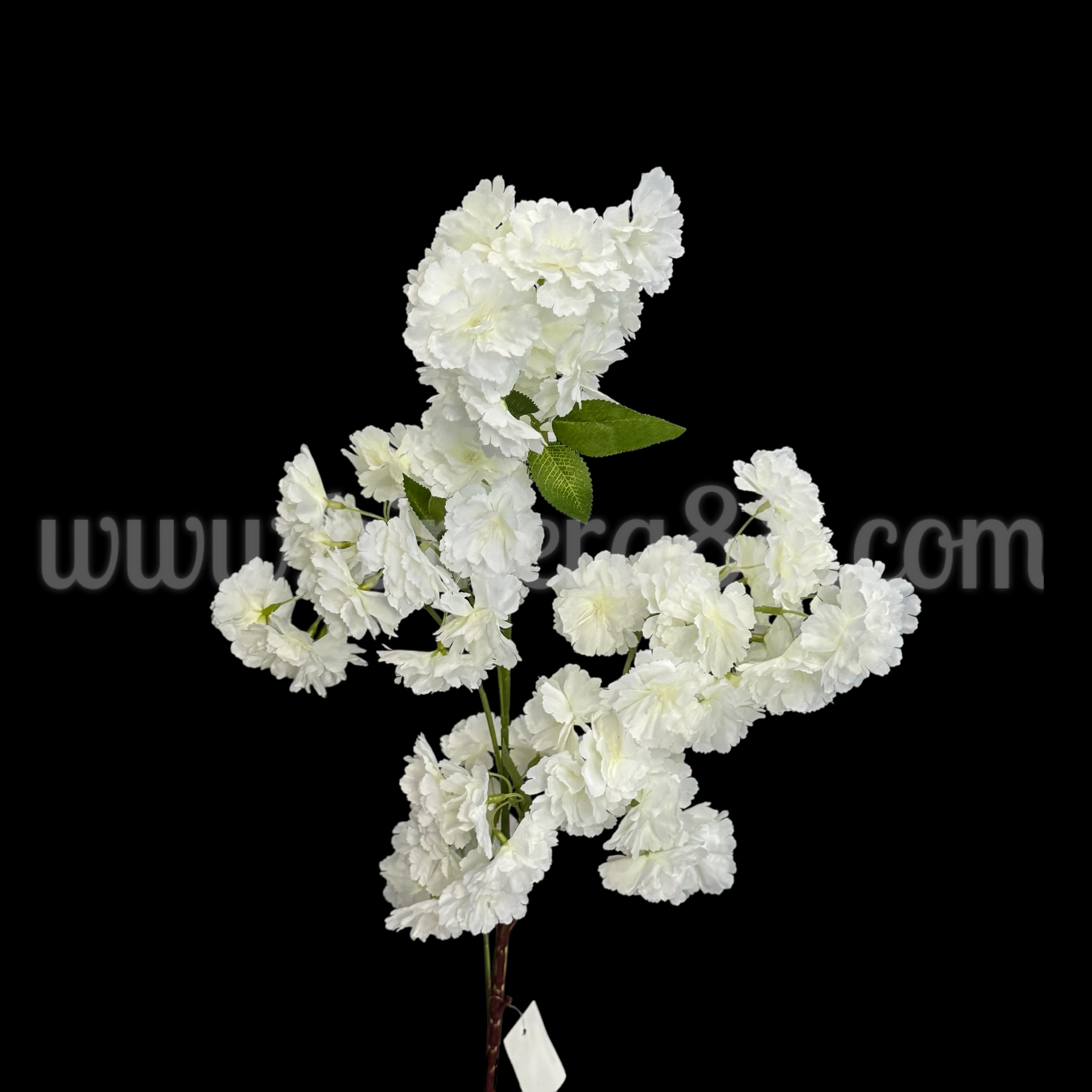 Клон Кичеста Спирея White - изглед 1