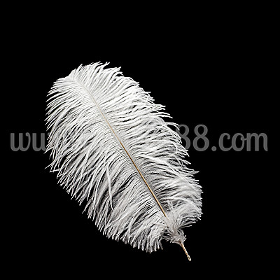 Щраусово перо 40-45cm WHITE