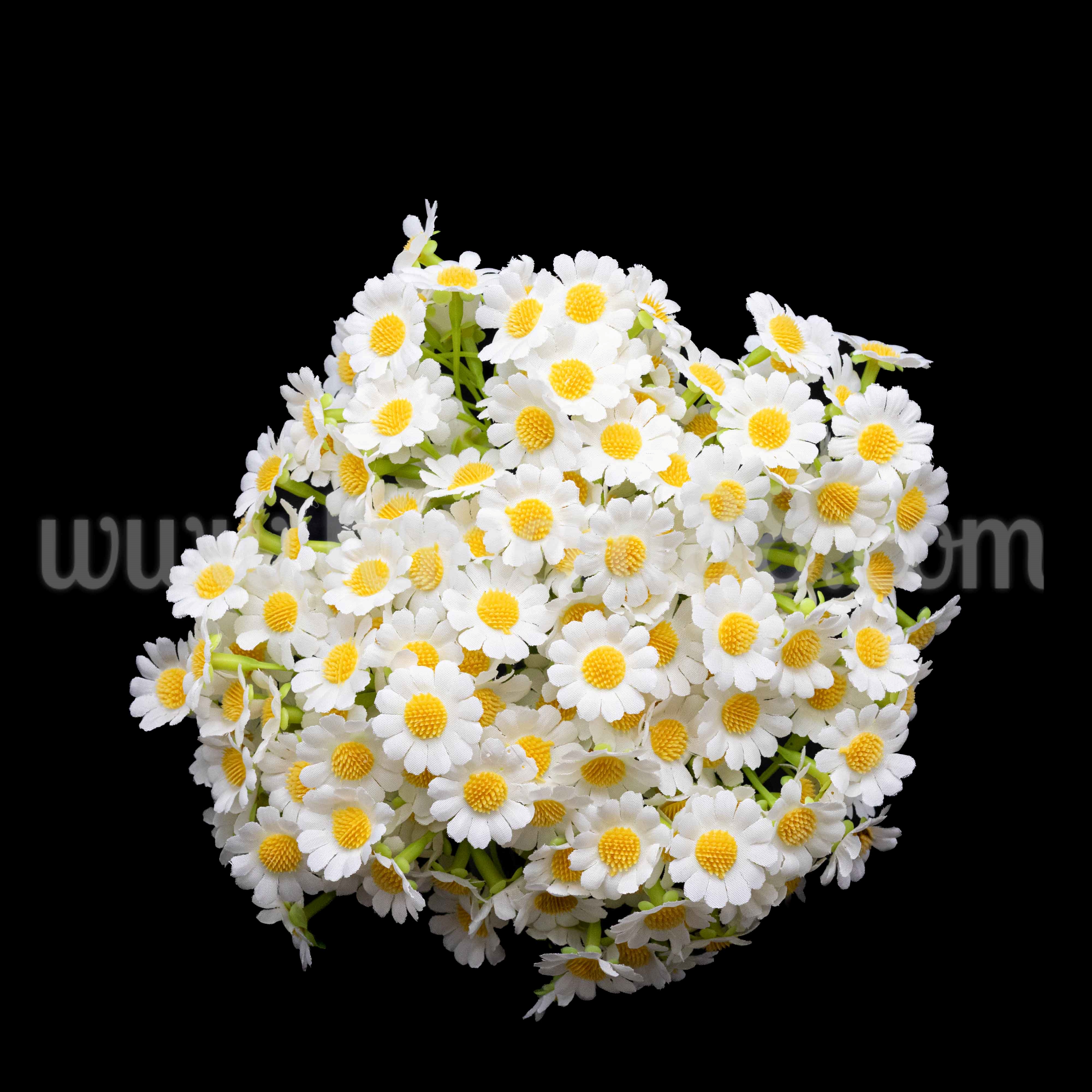 Букет маргаритa Fresh White 2.5см/7стр - изглед 1